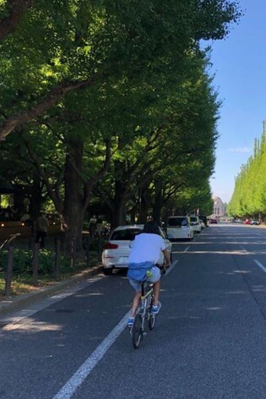 Tokyo Bike Tour: Shibuya, Harajuku & Hidden Gems - Gaien Ginkgo Avenue and the National Stadium