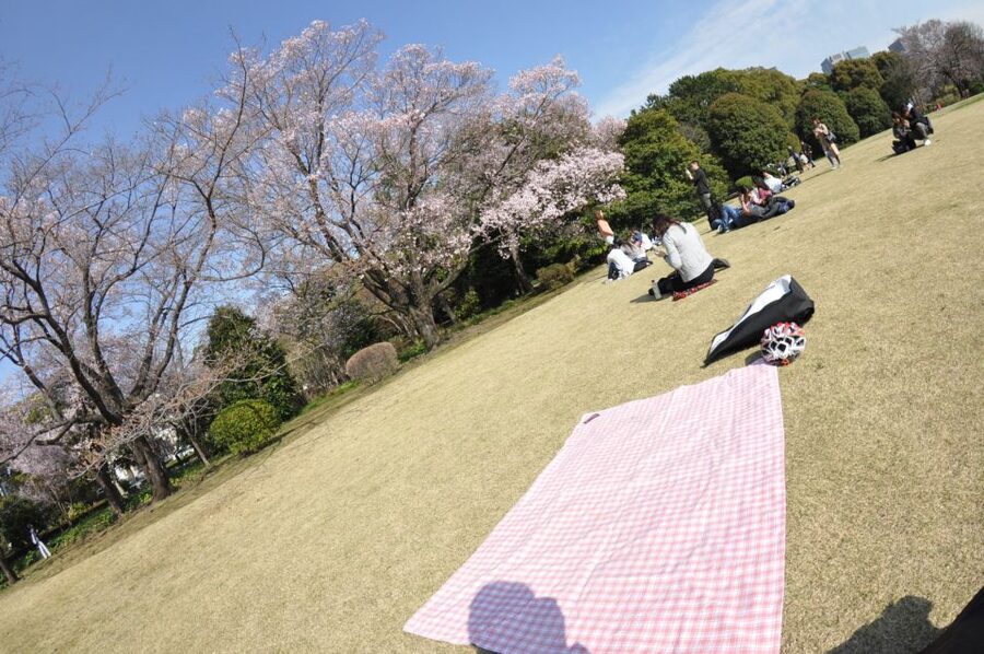 Tokyo: Private Cycling Tour with cute E-bike - What happens when the weather or bike causes trouble