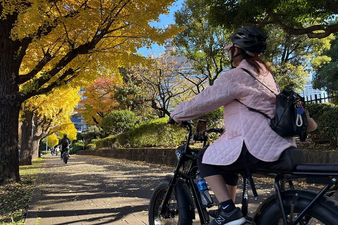 Tokyo Top Highlights 3h Guided E-bike Tour - Who should book this Tokyo ride?