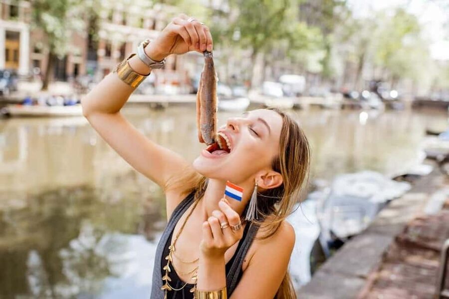 Top 10 Tastings of Amsterdam: Food & Culture Bike Tour - What the three-hour route is really like