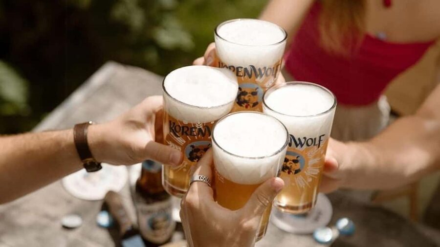 Top 10 Tastings of Amsterdam: Food & Culture Bike Tour - Bitterballen, beer, wine, and jenever