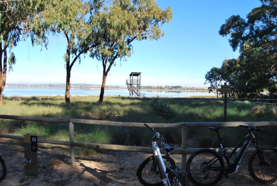 Torrevieja: Natural Parks e-Bike Tour - Key points to know before you ride