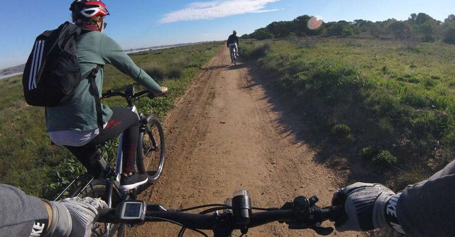 Torrevieja: Natural Parks e-Bike Tour - Torrevieja’s city sights come first