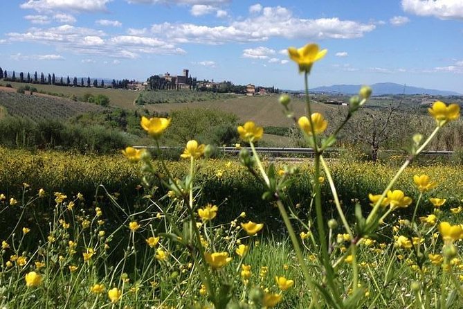 Tuscany Bike Tours Through the Chianti Hills with Wine Tasting - Wine and lunch inside a medieval castle