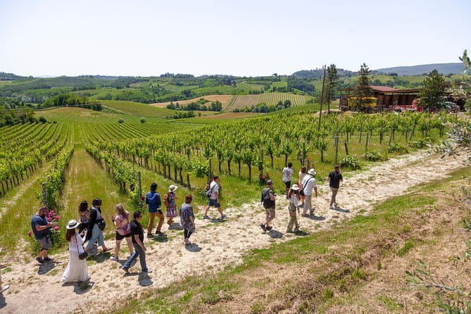 Tuscany E-Bike Tour: from Florence to Chianti with lunch and tastings - Diadema Wine & EVO and the olive oil lesson