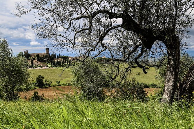 Tuscany E-Bike Tour: from Florence to Chianti with lunch and tastings - How demanding is the cycling?