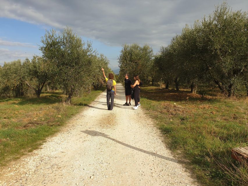Tuscany Hills Bike Tour with Lunch at farm and Wine Tasting - Should you book the Tuscany Hills Bike Tour?