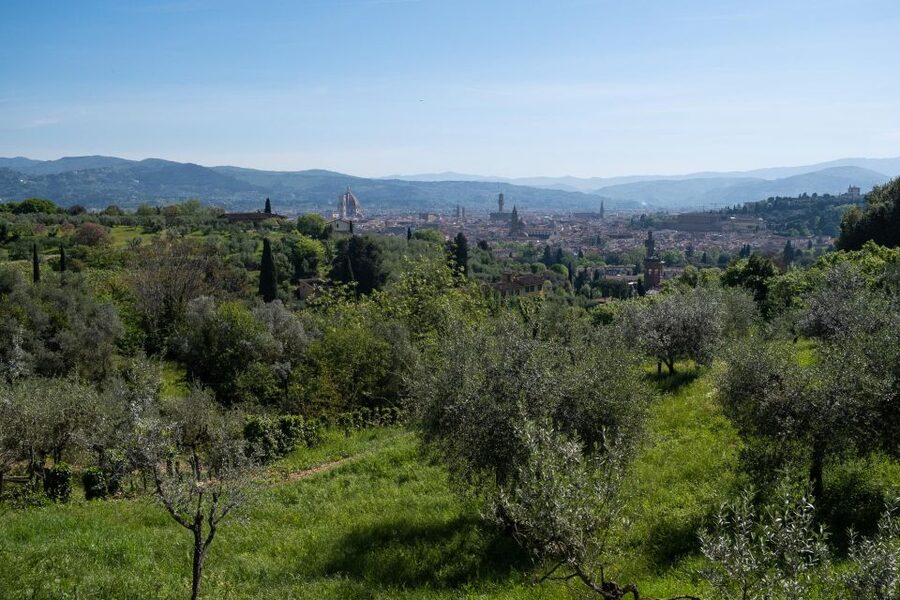 Tuscany Hills Bike Tour with Lunch at farm and Wine Tasting - Starting from Florence on a proper touring bike