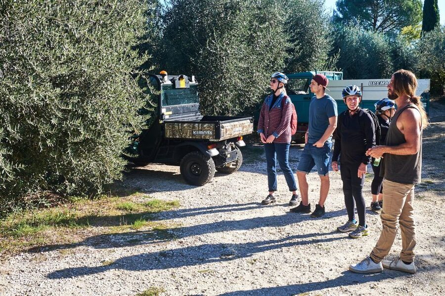 Tuscany Hills Bike Tour with Lunch at farm and Wine Tasting - Who will enjoy this ride most