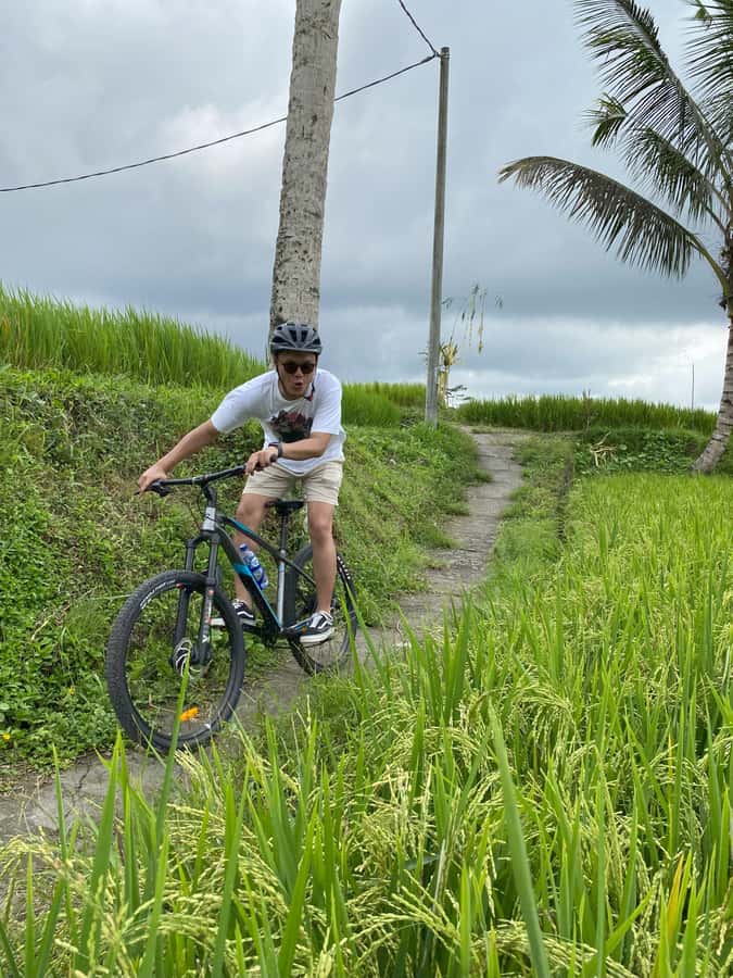 Ubud: Downhill Bike Tour with Rice Fields, Volcano and Meal - Rice fields, village roads, and quiet Bali