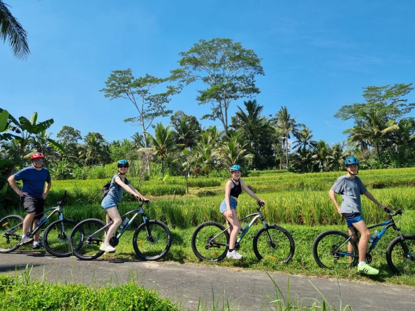 Ubud: Downhill Cycling with Volcano, Rice Terraces, and Meal - Pickup, timing, and the real value
