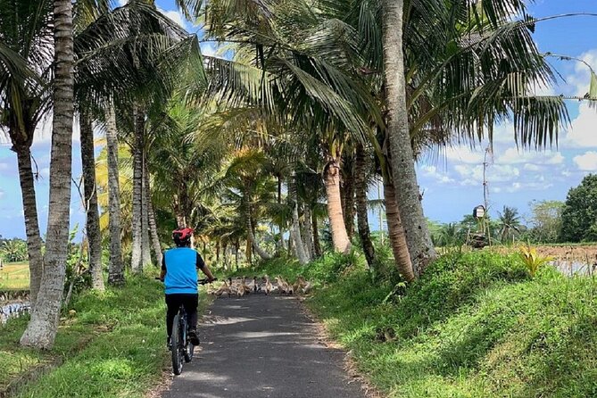 Ubud: Downhill Cycling with Volcano, Rice Terraces and Meal - The real value at $36.66