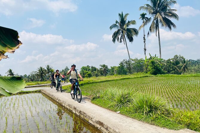 Ubud eBikes Tour to Tegallalang Rice Terrace - Village temples and Balinese Hindu traditions