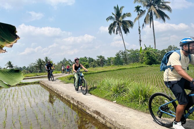 Ubud eBikes Tour to Tegallalang Rice Terrace - Riding through rice fields toward Tegallalang