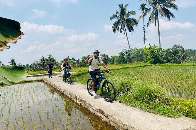 Ubud eBikes Tour to Tegallalang Rice Terrace - Lunch above the rice terraces