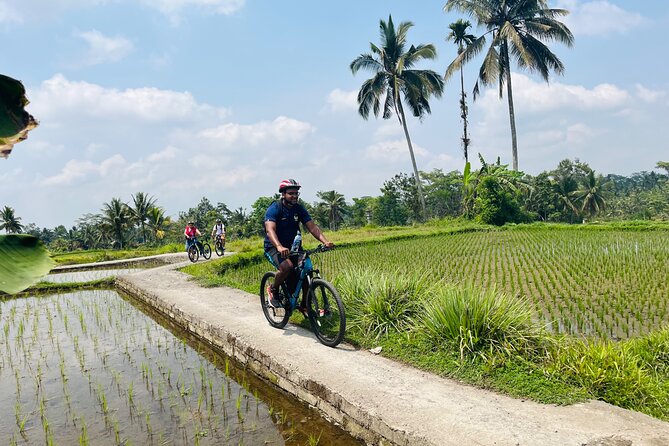 Ubud eBikes Tour to Tegallalang Rice Terrace - Coffee and tea tasting, with a touristy edge