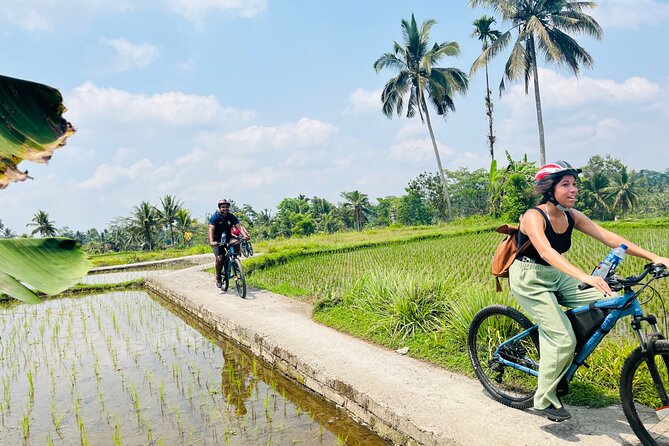 Ubud eBikes Tour to Tegallalang Rice Terrace - Why the electric bike changes the ride