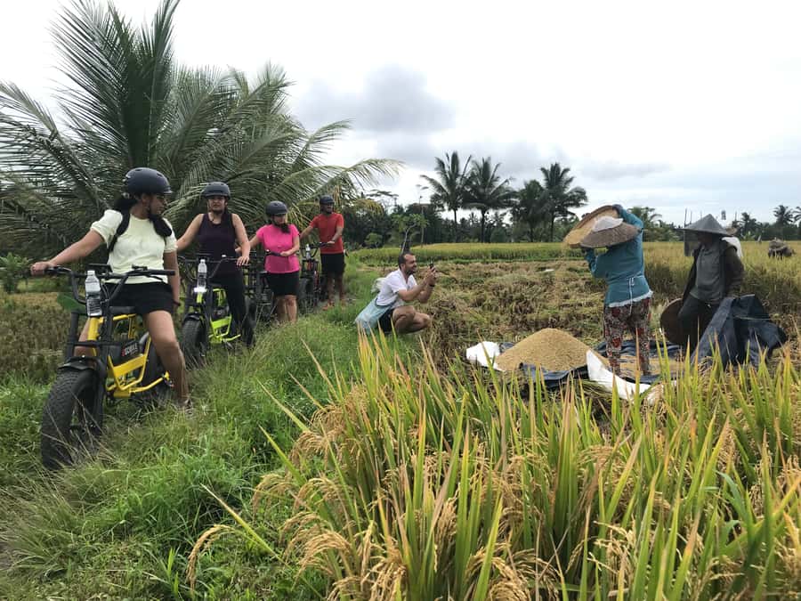 Ubud: Rice Terraces & Villages Half-Day Fat Tire E-Bike Tour - Key things to know before you book