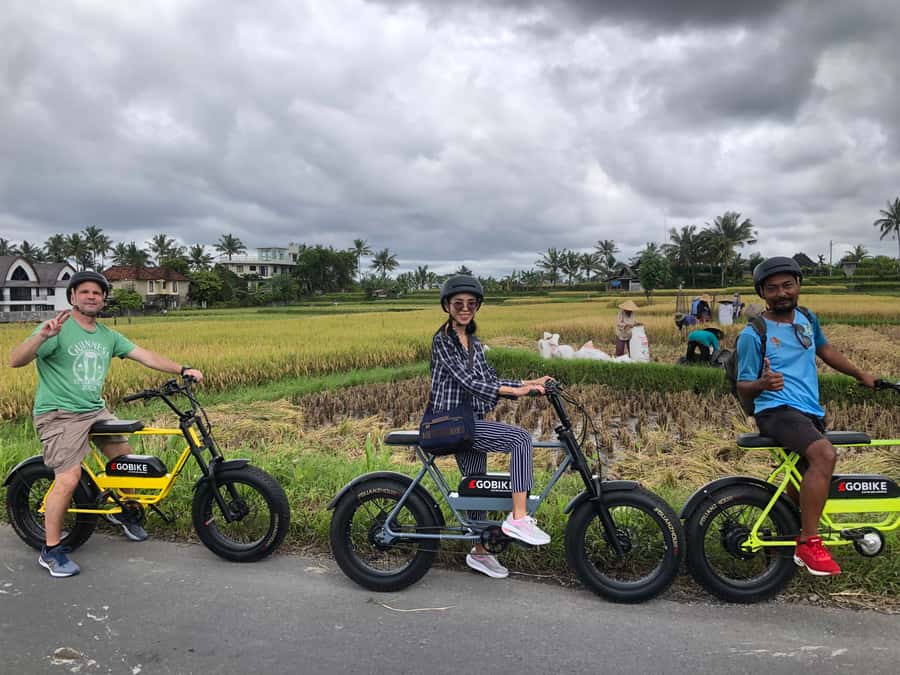 Ubud: Rice Terraces & Villages Half-Day Fat Tire E-Bike Tour - Who should book this ride?