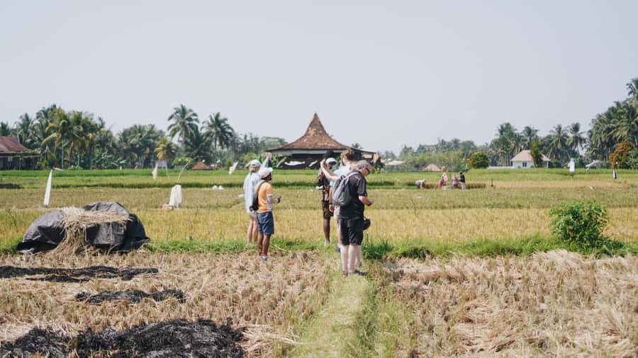 Ubud: Rice Terraces & Villages Half-Day Fat Tire E-Bike Tour - Why an e-bike is a smart way to see Ubud