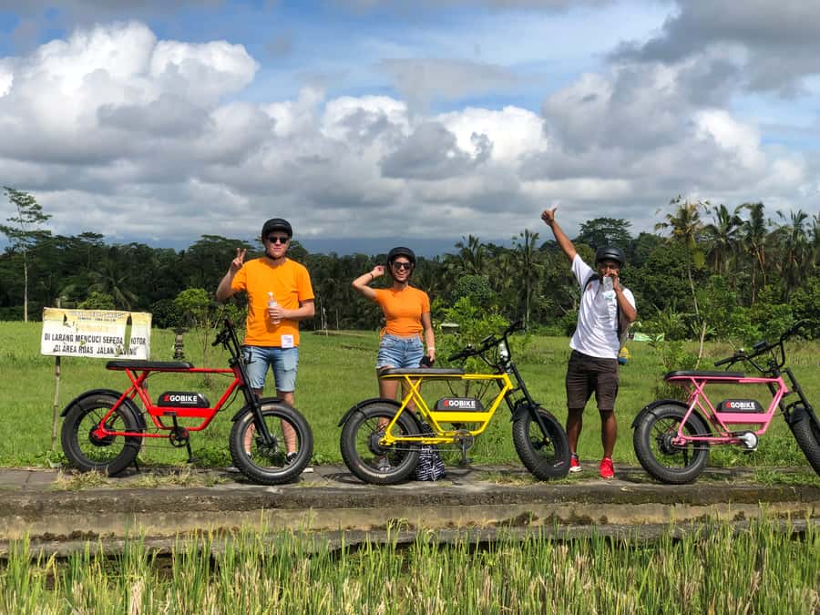 Ubud: Rice Terraces & Villages Half-Day Fat Tire E-Bike Tour - Tegalalang village and a closer look at local life