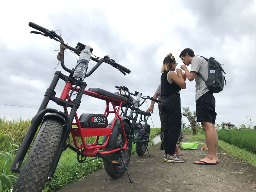 Ubud: Rice Terraces & Villages Half-Day Fat Tire E-Bike Tour - Balinese lunch in Ubud