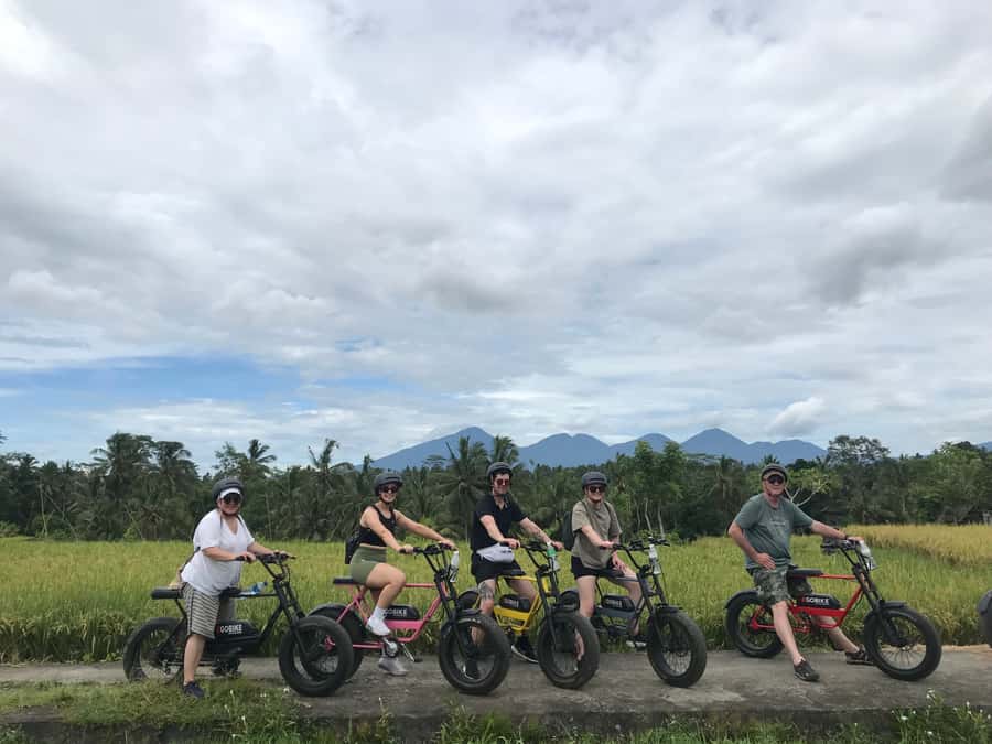 Ubud: Rice Terraces & Villages Half-Day Fat Tire E-Bike Tour - Pickup from Ubud and the ride to the starting point