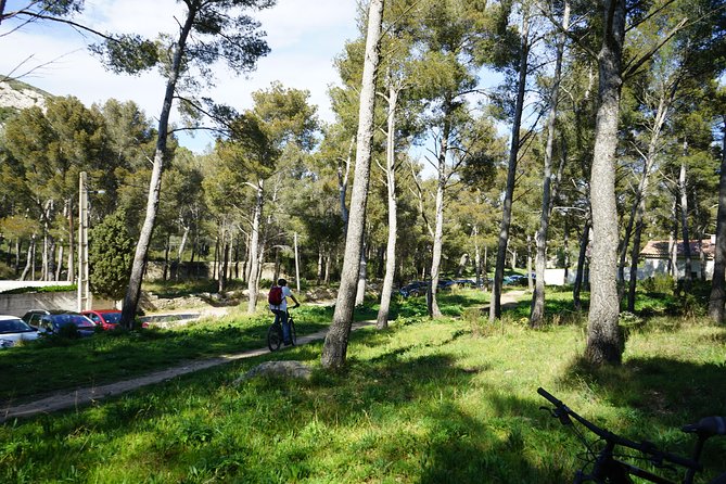 Ultimate Calanques Panoramic e-bike Ride – 3h (Small Group) - Through Marseille and into the national park