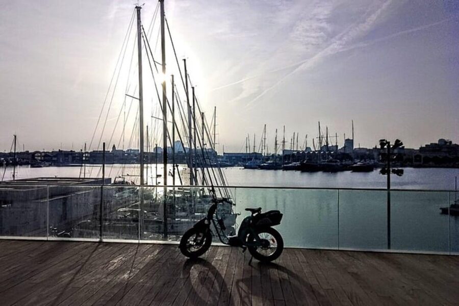 Valencia all in one: beaches, old town & city arts by E-bike - A fast way to get your bearings in Valencia