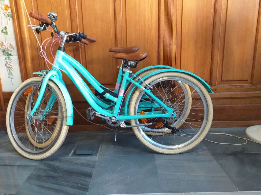 Valencia: Bike Rental for 1 to 4 Days - Riding Valencia at Your Own Pace