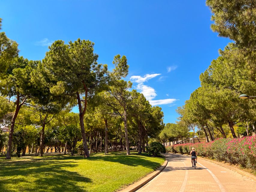 Valencia Bike Tours: City Highlights - Serranos Towers and the edge of old Valencia