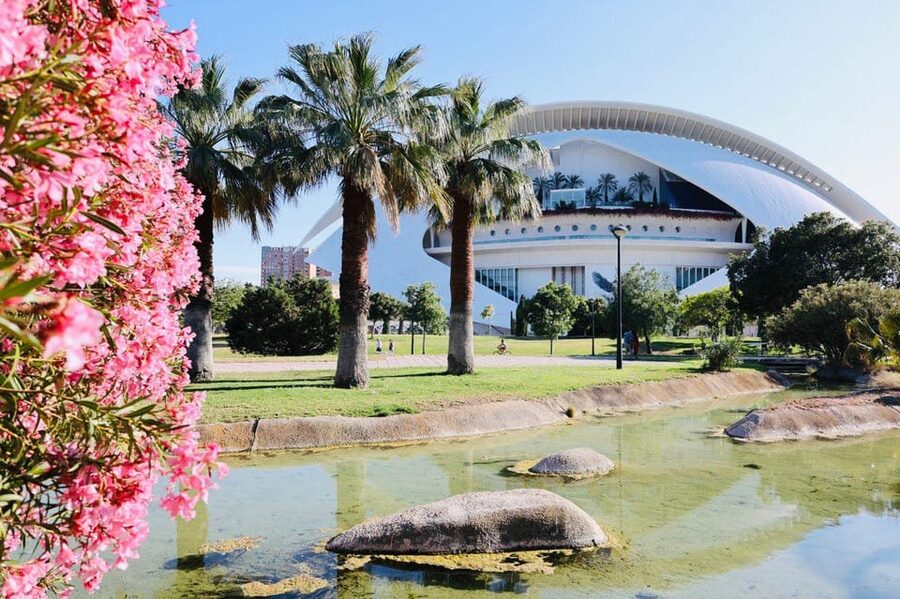 Valencia: Top 25 Highlights Guided Bike Tour - Guide quality and the feel of the ride