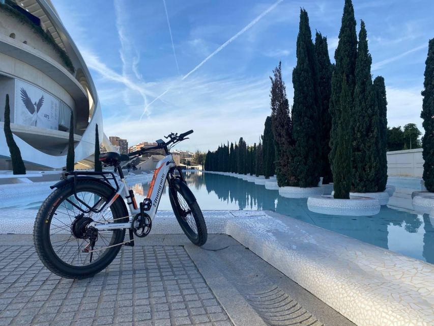 Valencia: Top 25 Highlights Guided Bike Tour - Starting in Russafa and reaching Estació del Nord
