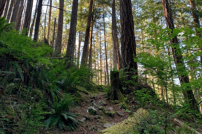 Vancouver Stanley Park 3 Hour Bike Tour - Brockton Point Totem Poles: the most meaningful stop