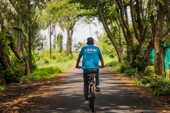 Varca Coastal E-Bike Tour: Scenic Beachside Adventure - Why this short ride shows a different Goa