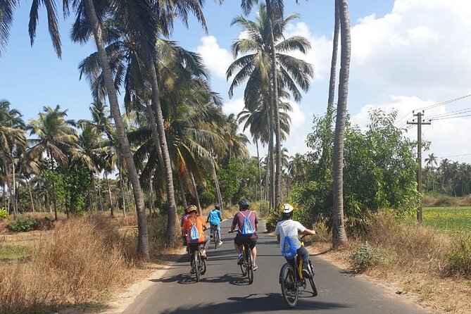 Varca Coastal E-Bike Tour: Scenic Beachside Adventure - Riding through Benaulim’s paddy fields