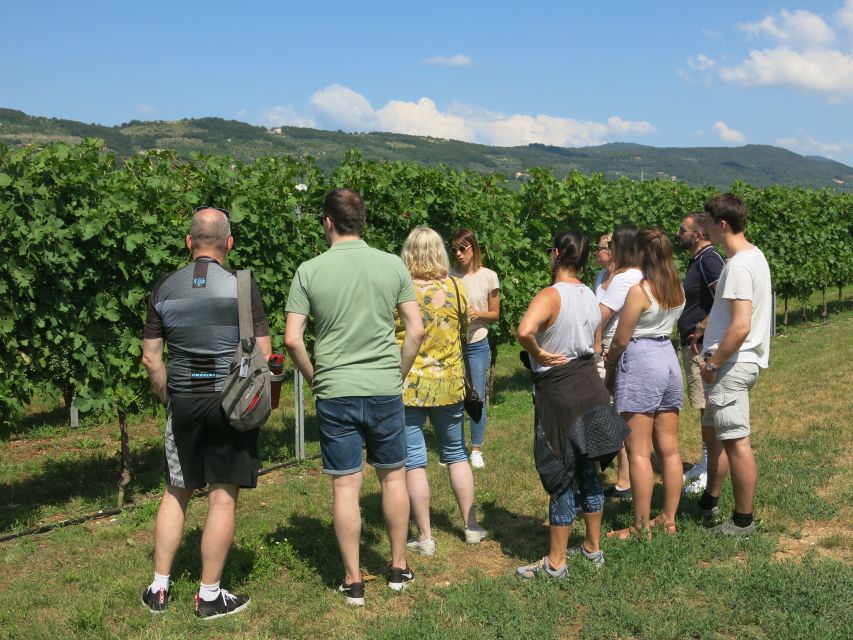 Verona: Valpolicella Wine Self-Guided E-Bike Tour & Tastings - Making time for lunch in a village