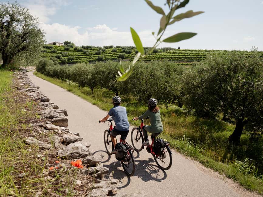 Verona: Valpolicella Wine Self-Guided E-Bike Tour & Tastings - Is $105 a fair price?