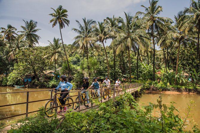 Village Vibes: Cansaulim Coastal E-Bike & Japanese Tea Tour - Why the e-bike changes the experience