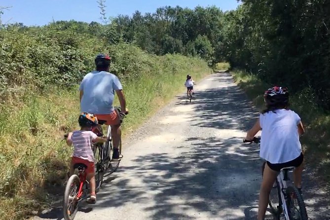 Vineyard cycle tours in and around Chinon, in the Loire Valley - What the $156.20 price includes