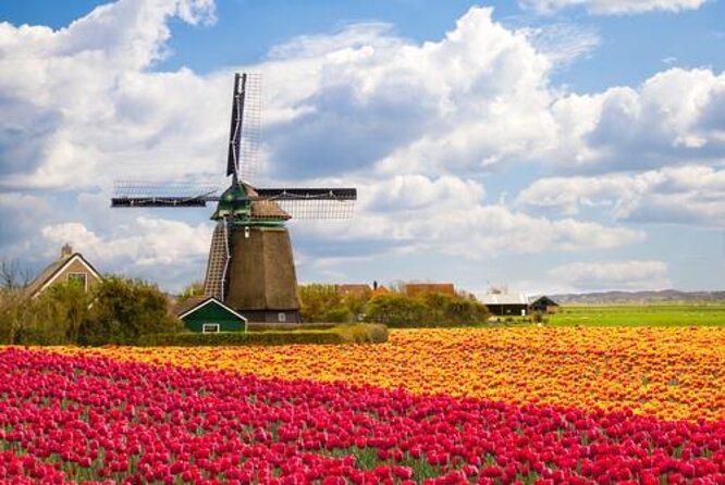 Visit Amsterdam Countryside with windmills by bike - Key points at a glance