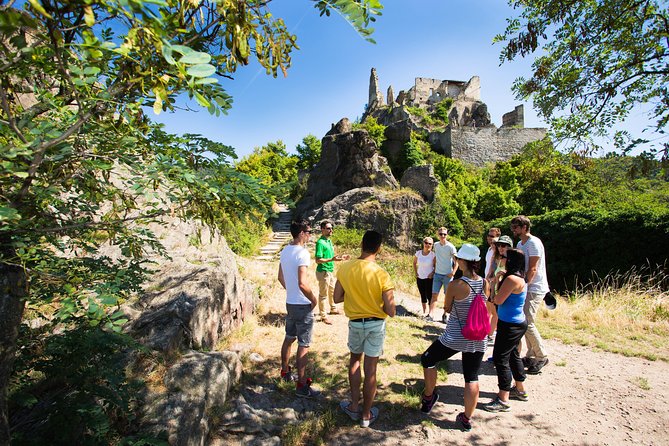 Wachau Valley Wine Tasting Bike Tour from Vienna - Choosing between the abbey and the castle ruins