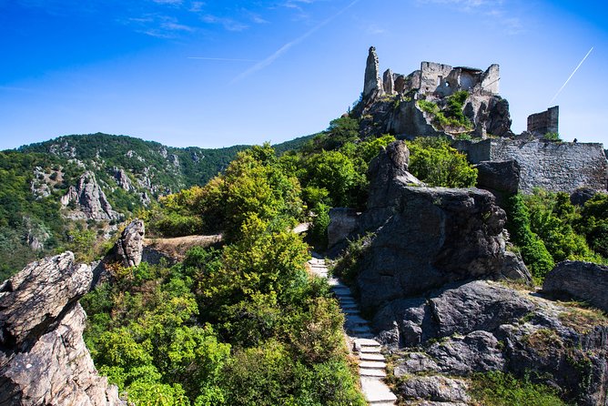 Wachau Valley Wine Tasting Bike Tour from Vienna - Lunch, river time, and an optional swim