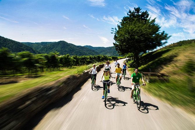 Wachau Valley Wine Tasting Bike Tour from Vienna - What the guide adds to the day