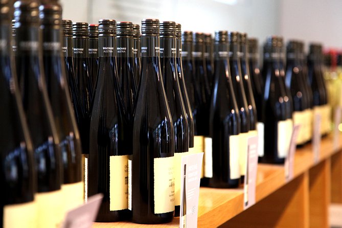 Wachau Valley Wine Tasting Bike Tour from Vienna - Weather, equipment, and comfort