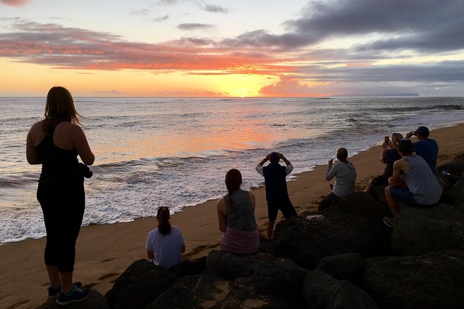 Waimea Canyon Downhill Bike Ride - Niʻihau, the west coast, and Kekaha Beach