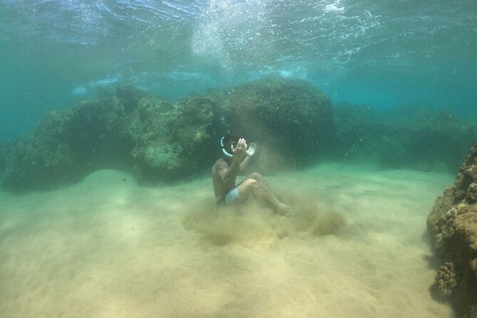 Water Bike Tour in South Maui - What the South Maui Water Bike Tour Is Really Like