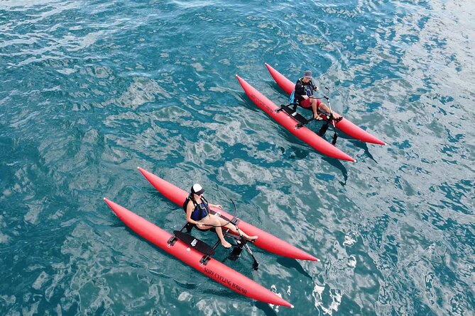 Water Bike Tour in South Maui - The Black Sand Beach View From Offshore