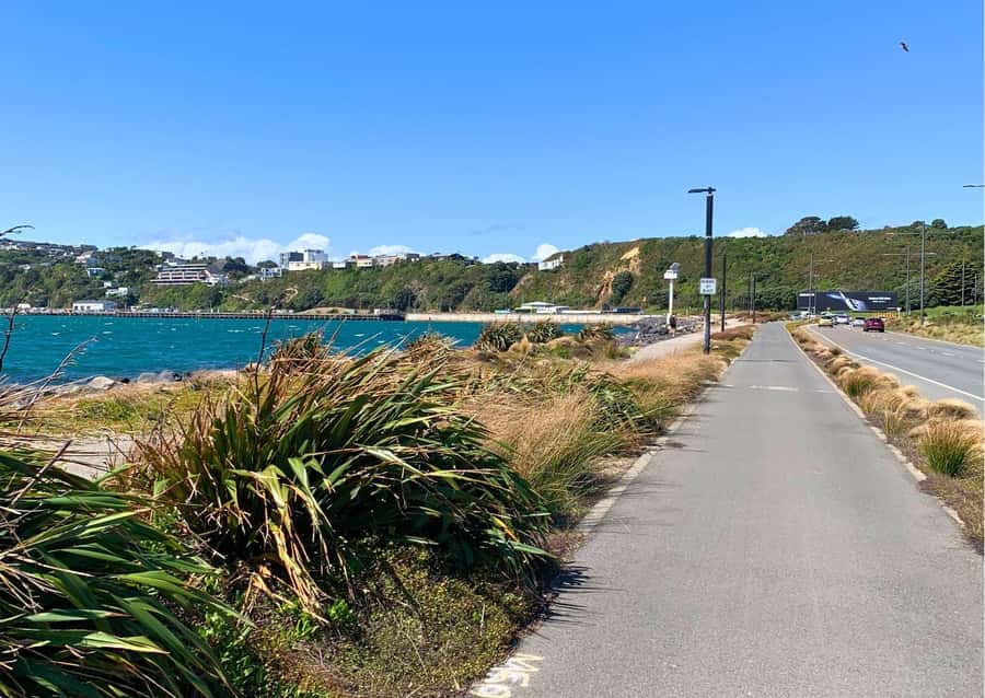 Wellington Electric Bike Rental - Rimutaka Rail Trail by train
