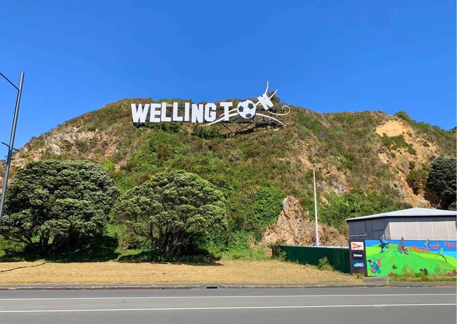 Wellington Electric Bike Rental - Half-day, full-day, or two-day rental?